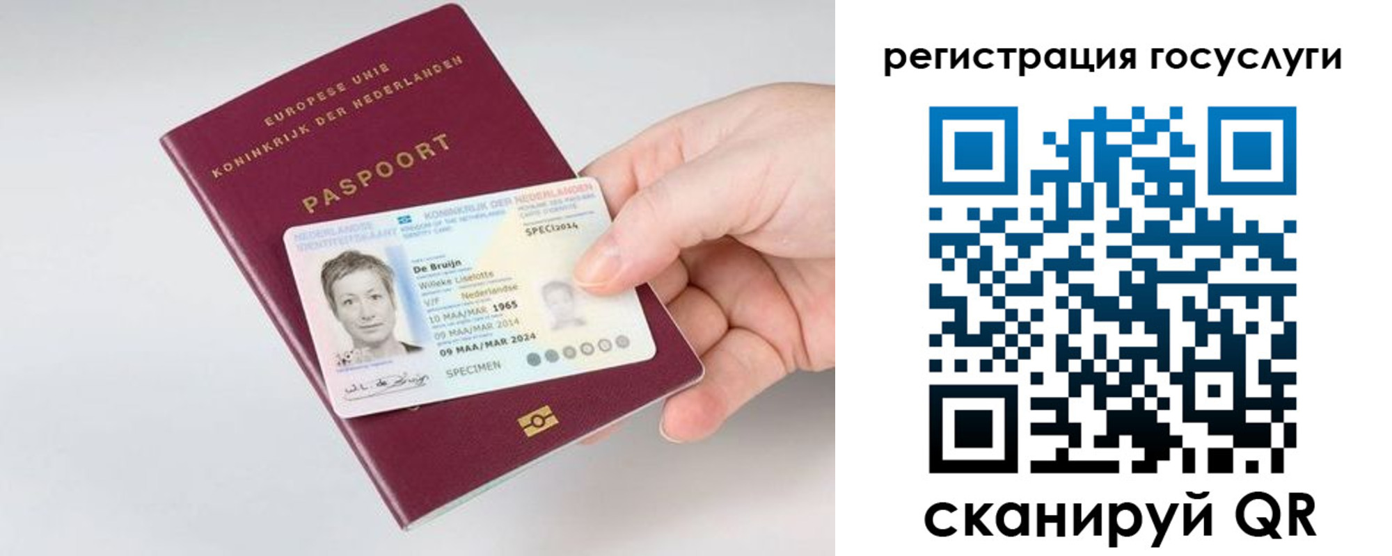 регистрация для дет. сада в Чкаловске