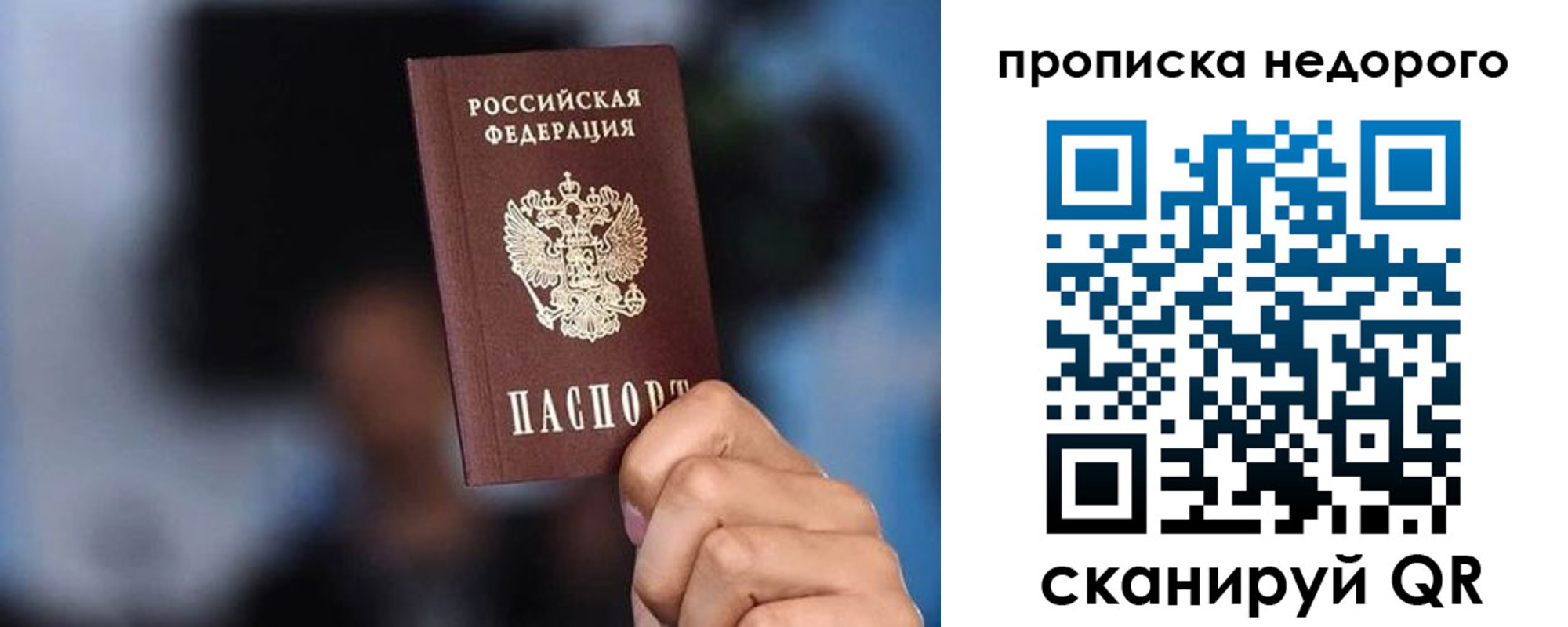 временная регистрация поиск в Чкаловске